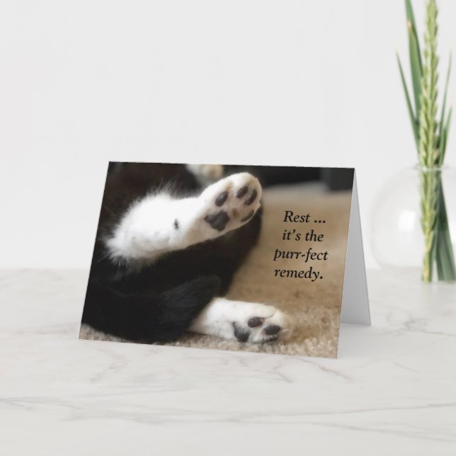 Carte de succès pour les pattes Kitty (Devant)