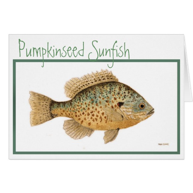 Carte de Sunfish de Pumpkinseed (Devant horizontal)