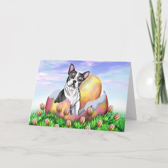 Carte de surprise de Boston Terrier Pâques (Devant)