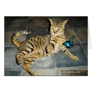 Carte de surprise de chat de la savane