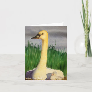 Carte de Swan et de Cygne