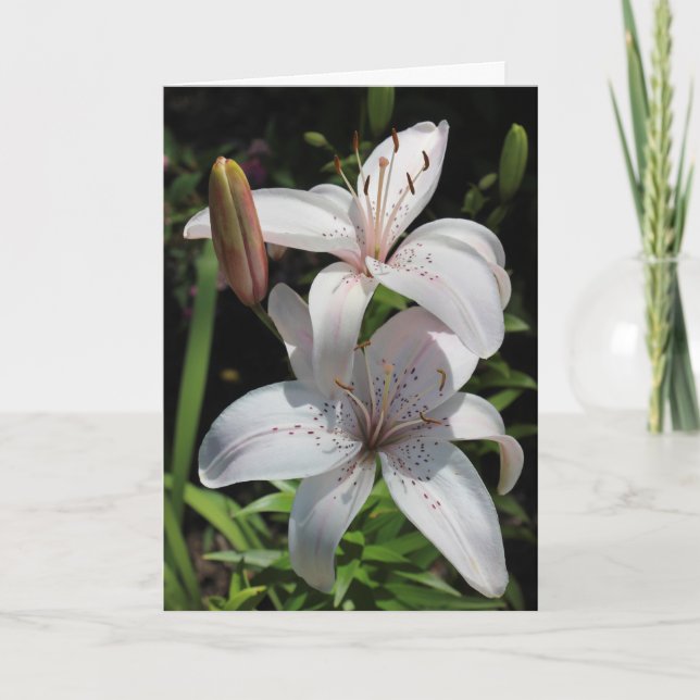 Carte de sympathie (Devant)