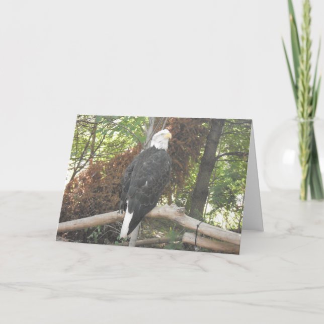 Carte de sympathie « Aigle royal » (Devant)