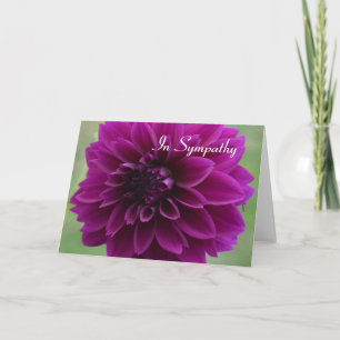 Carte de sympathie avec gros plan dahlia violette