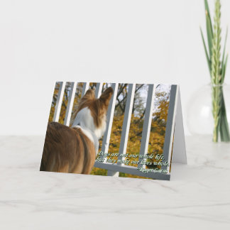 Carte de sympathie canine