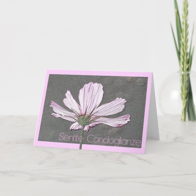 carte de sympathie cosmos italien (Devant)