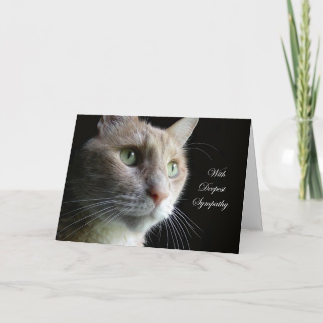 Carte de sympathie de chat (Devant)