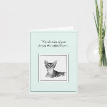 Carte de Sympathie de chat Abyssinian