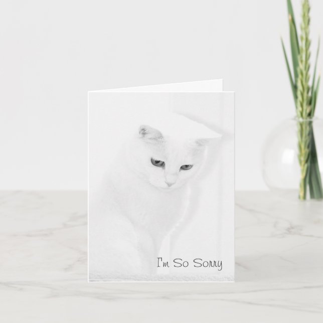 Carte de sympathie de chat d'ange (Devant)