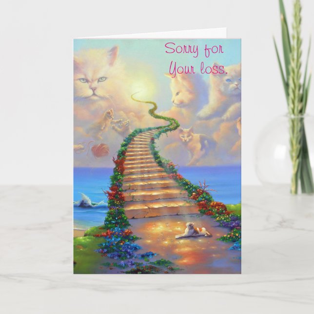 Carte de sympathie de chats (Devant)