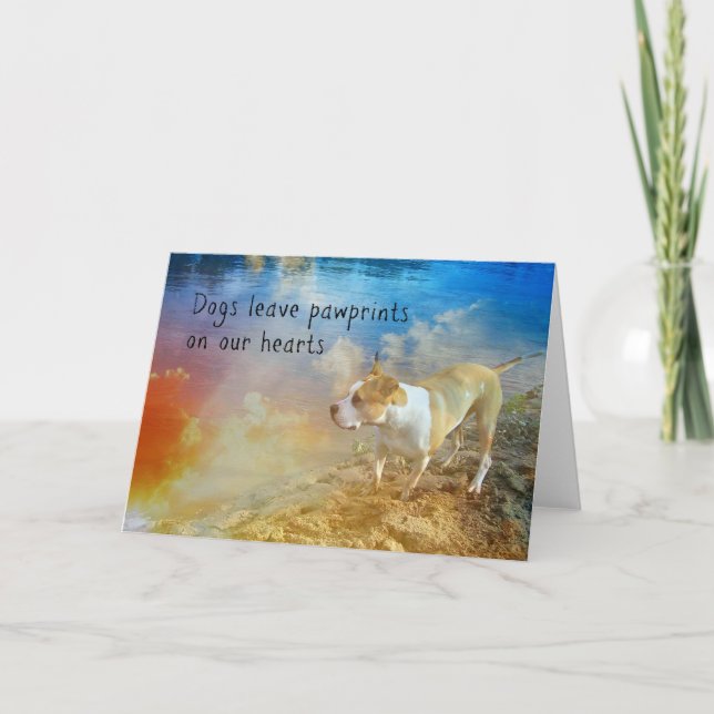 Carte de sympathie de chien - les chiens laissent (Devant)