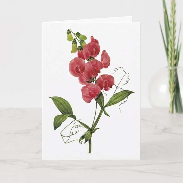 Carte de Sympathie de l'aquarelle de pois doux (Devant)