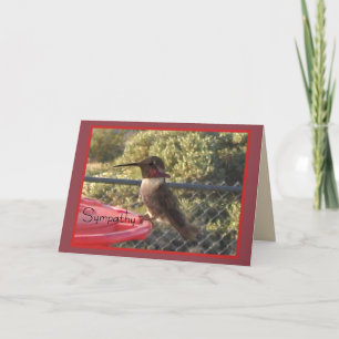 Carte de Sympathie des colibris pour n'importe qui