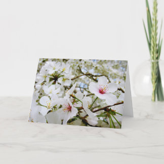 Carte de sympathie des fleurs de cerisier 5