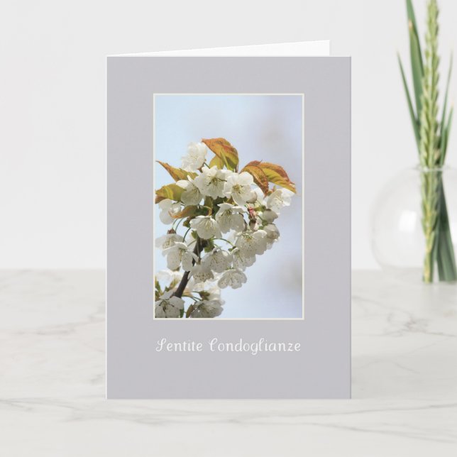 carte de sympathie en fleurs blanches italien (Devant)