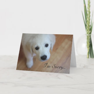 Carte de sympathie, je suis désolé pour…