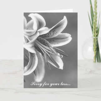 Carte de Sympathie Lillie Black et White Star