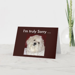 Carte de sympathie maltaise pour toute occasion de