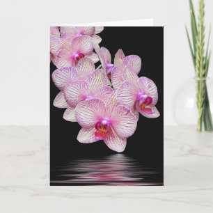 Carte de Sympathie Merci Orchid