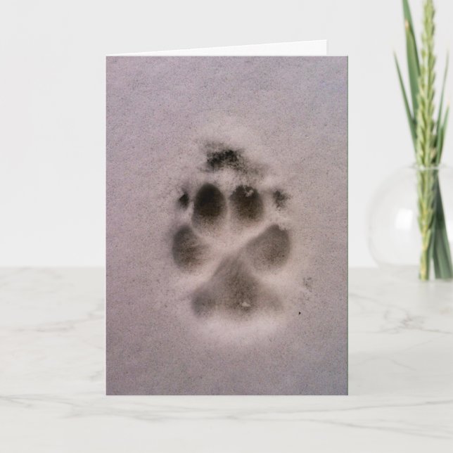 Carte de sympathie ou de délivrance d'animal (Devant)