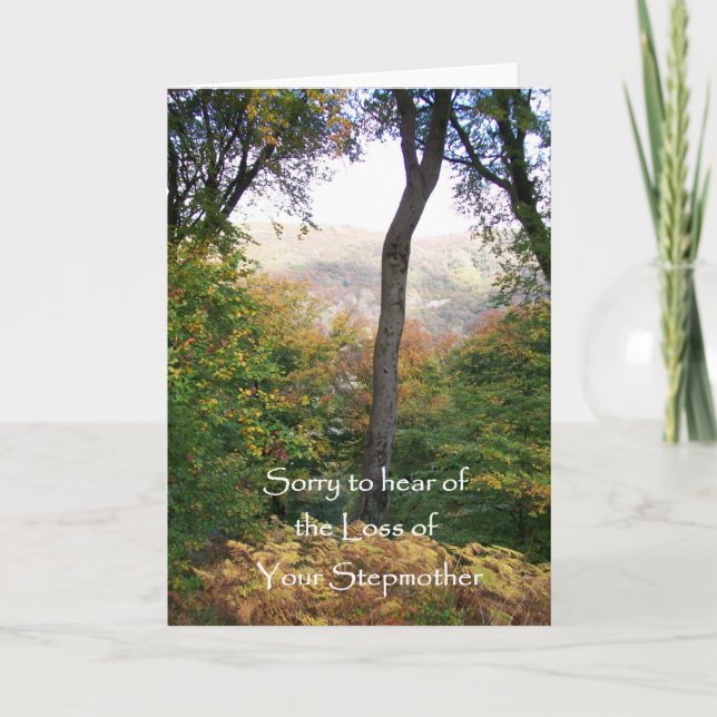 Carte de sympathie, perte de Stepmère (Devant)