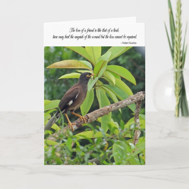 Carte de sympathie - perte d'un ami (Devant)