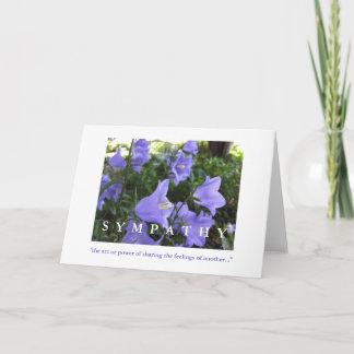 Carte de sympathie, pivoines et colonnes dans la p