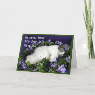 Carte de sympathie pour chat