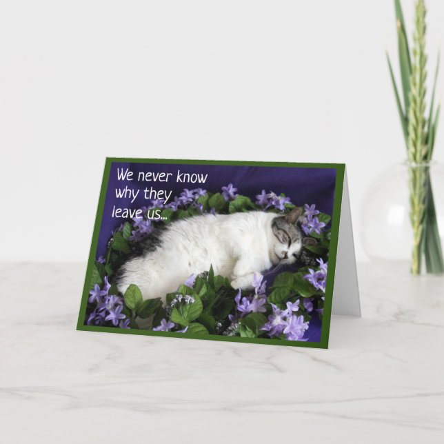 Carte de sympathie pour chat (Devant)