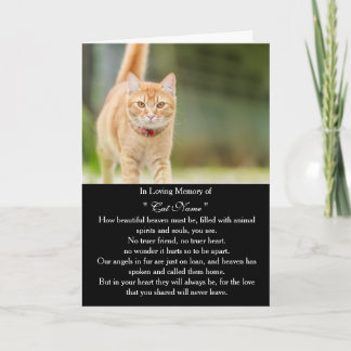 Carte de sympathie pour chat personnalisée avec ph
