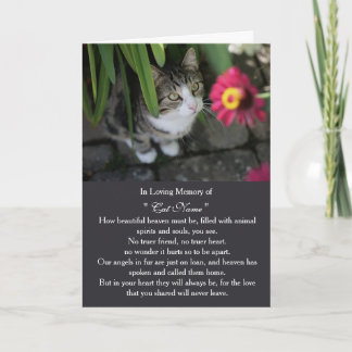 Carte de sympathie pour chat personnalisée avec ph