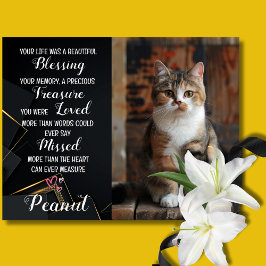 Carte de sympathie pour chat personnalisée avec ph