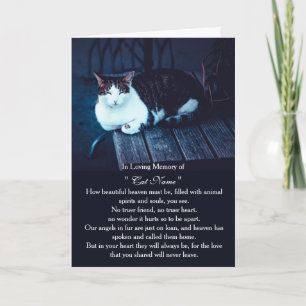 Carte de sympathie pour chat photo personnalisée M