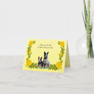 Carte de sympathie pour chien de bétail australien