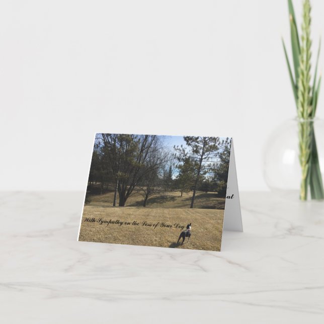 Carte de sympathie pour chien de compagnie Boston  (Devant)