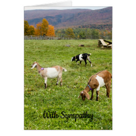 Carte de sympathie pour les chèvres du Vermont