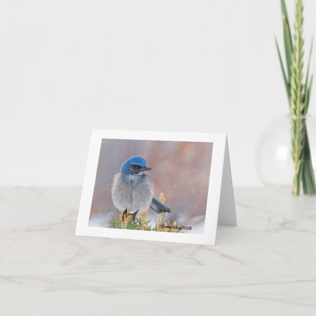 Carte de Sympathie pour l'oiseau (Devant)