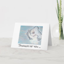 Carte de sympathie - Pour toujours avec vous (chat