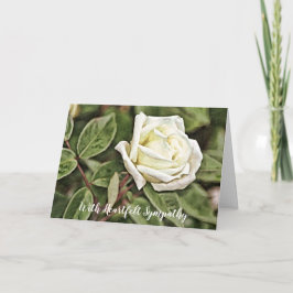 Carte de Sympathie Rose blanche peinte