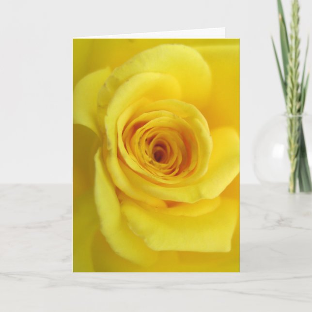 Carte de Sympathie Rose jaune (Devant)