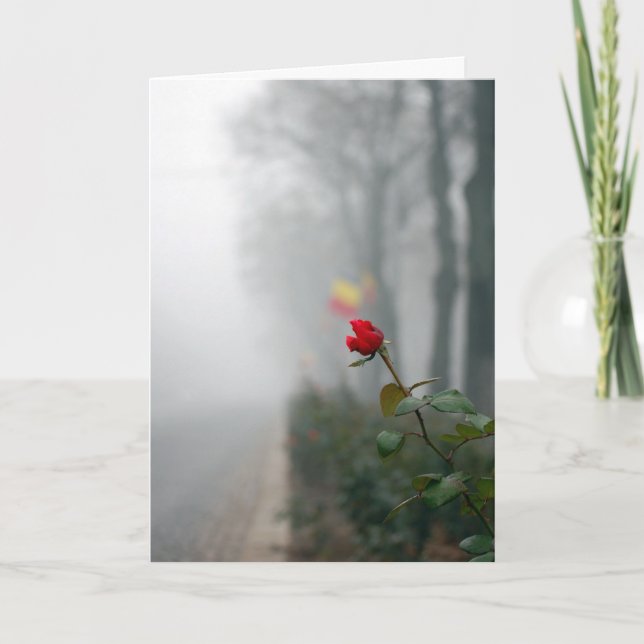 Carte de Sympathie Rose Rouge (Devant)