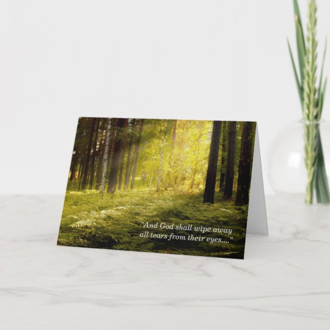 Carte de sympathie Sunrise sur les fougères forest (Devant)