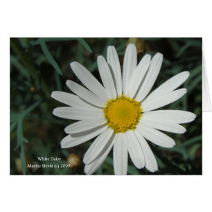 Carte de taille blanche