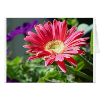 Carte de taille rose
