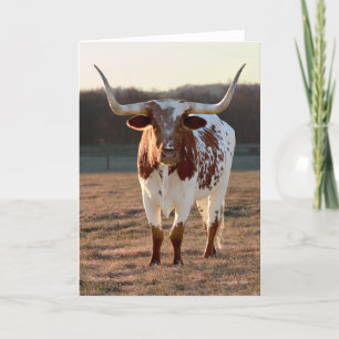 Carte de Texas Longhorn