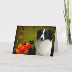 Carte de thanksgiving de border collie