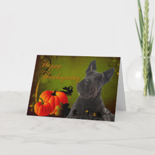 Carte de thanksgiving de Scottie