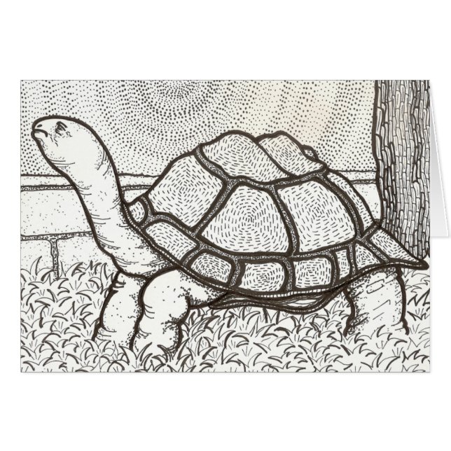 Carte de tortue (Devant horizontal)