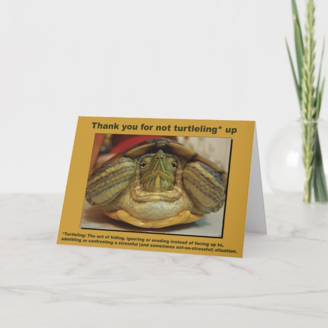 Carte de tortue (Devant)