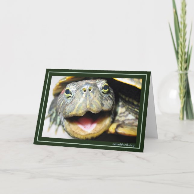 Carte de tortue heureuse (Devant)